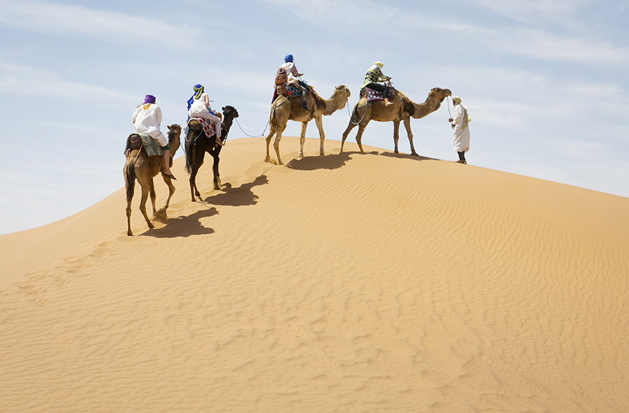 camel ride in Sahara desert 