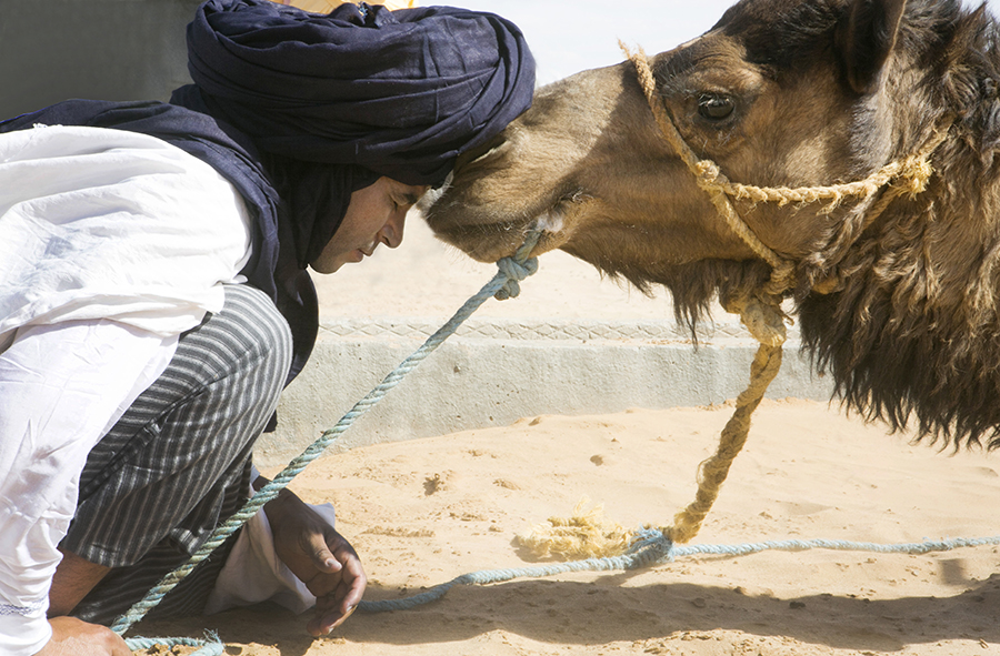 Bivouac Chegaga, aluna adventure, heidi roland photography, Tuareg, camel