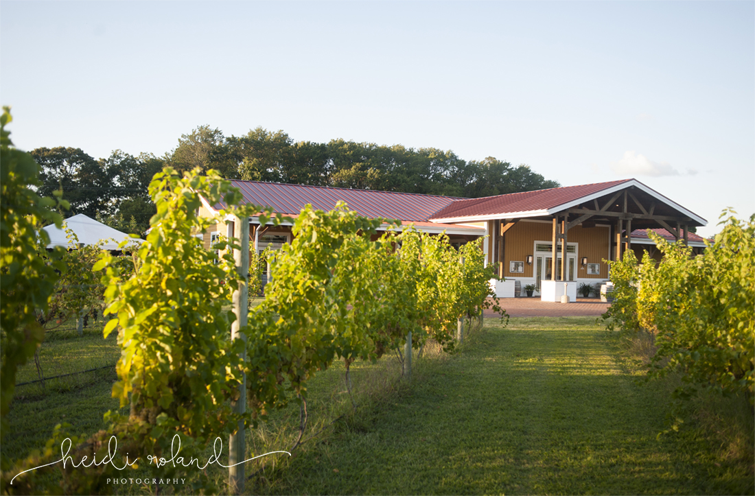 Summer Vineyard Willow Creek Winery Wedding