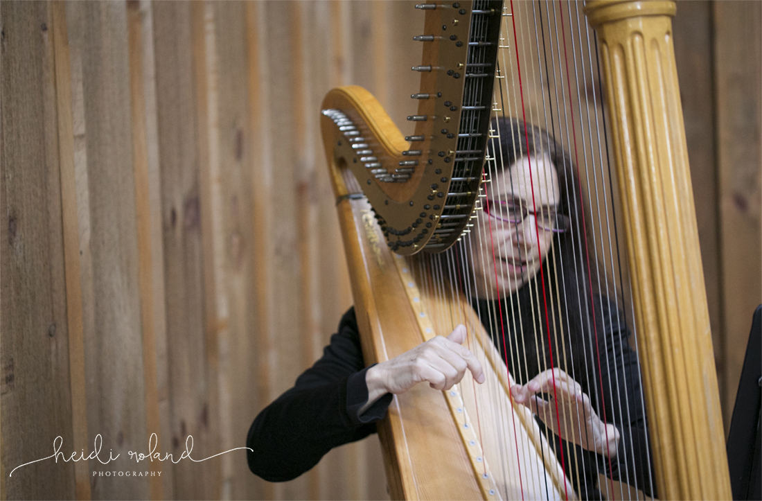 Heidi Roland Photography, Rustic Fall Wedding, harp player at ceremony