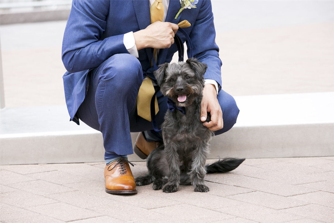 Philadelphia City Hall Wedding, love park, love statue, groom with dog