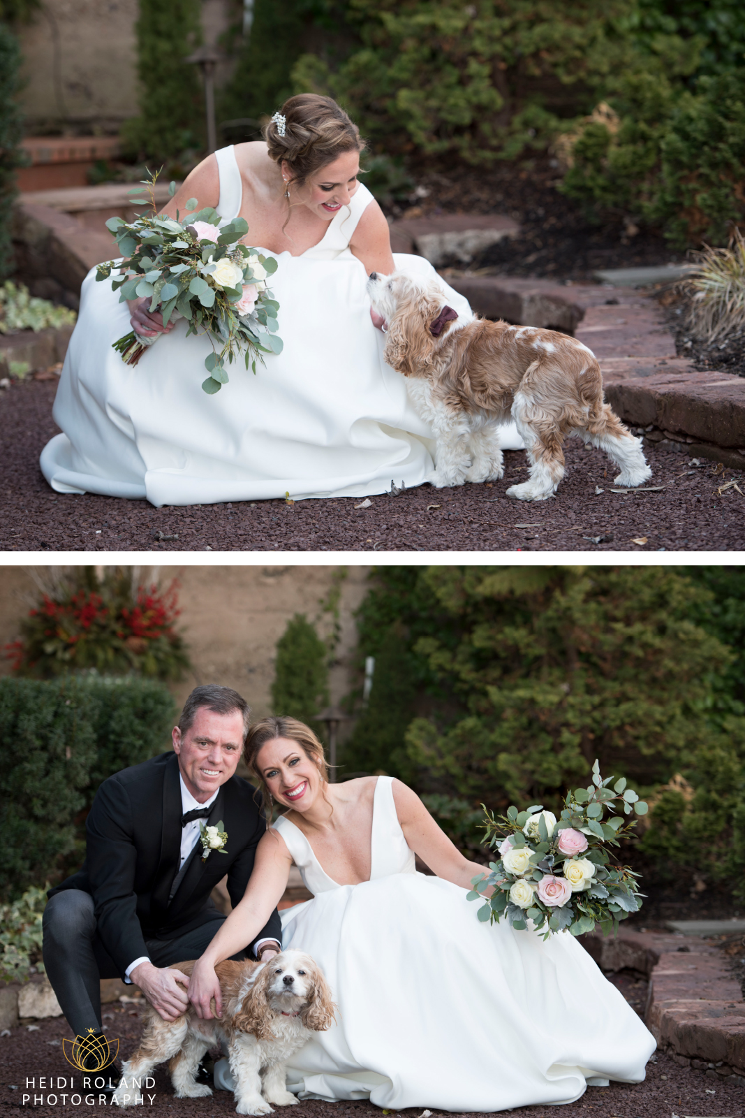 Bride and Groom and their dog on wedding day