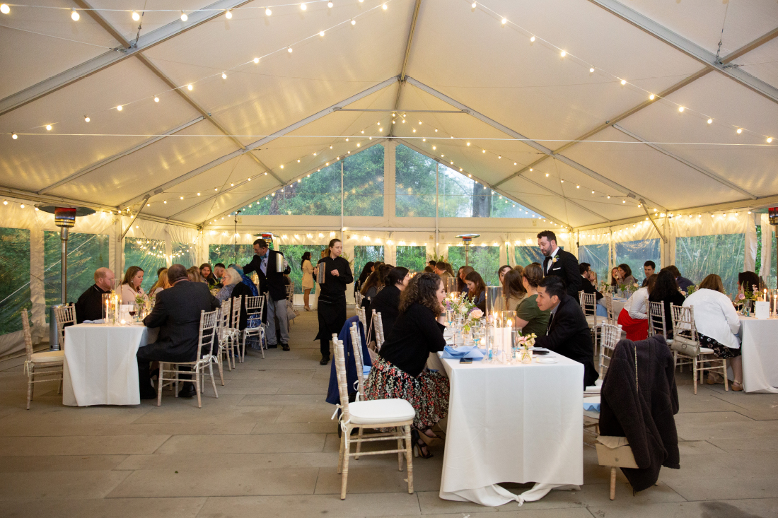 tented reception area at Portico Awbury Arboretum with string lights