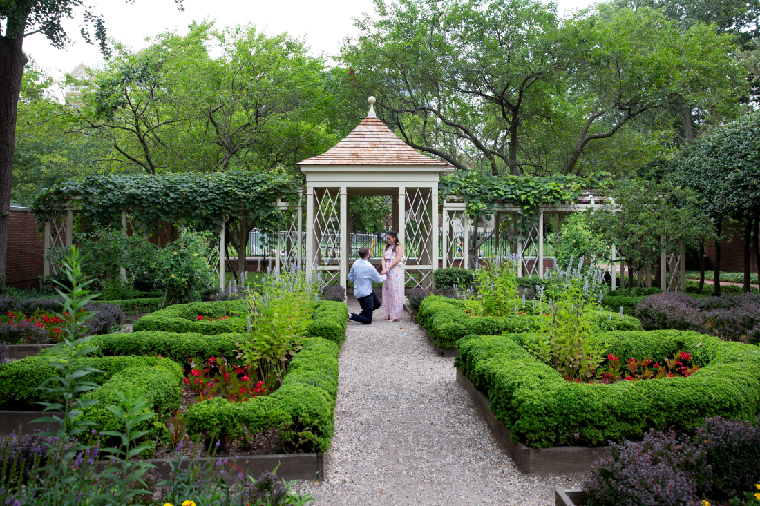 18th Century Garden proposal photos 