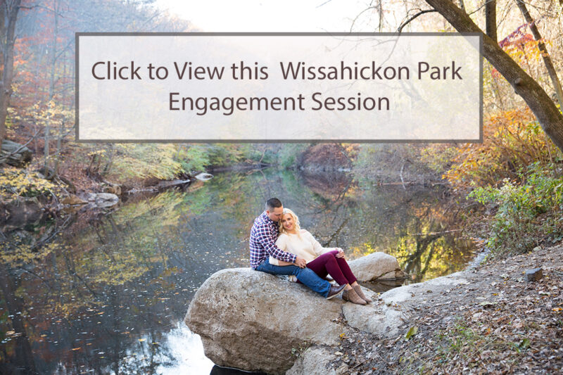 Wissahickon Park Engagement Session