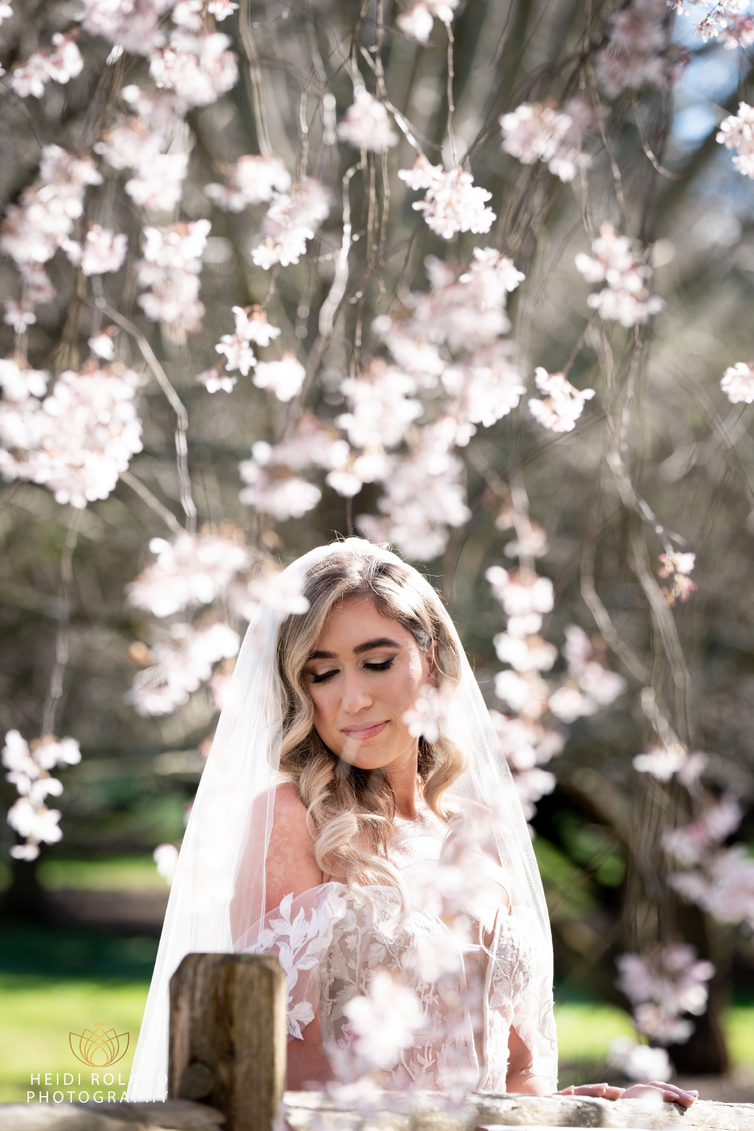 portrait of bride in wedding gown with cherry blossoms at Morris Arboretum Wedding