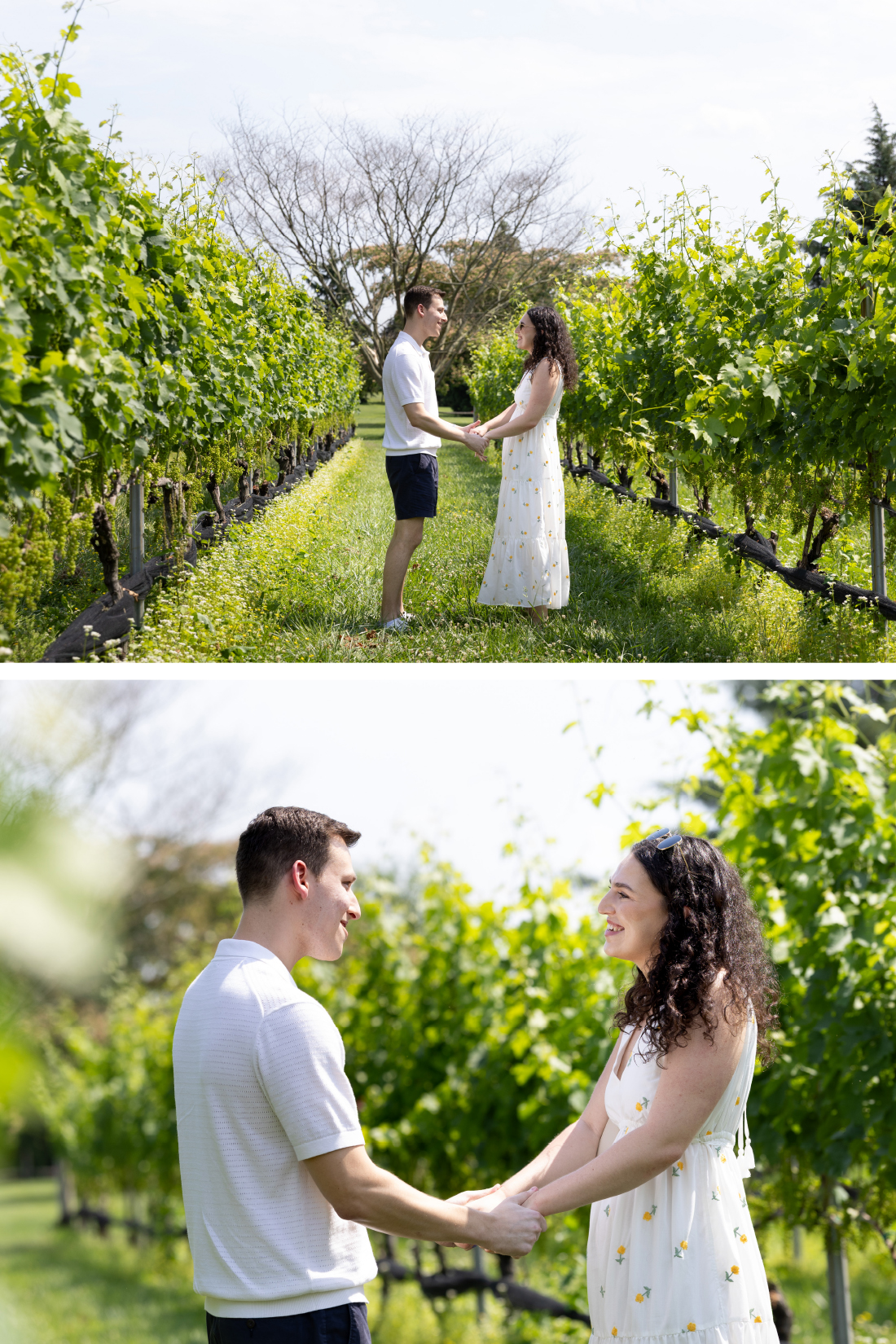 couple holding hands in Vineyard engagement photos session
