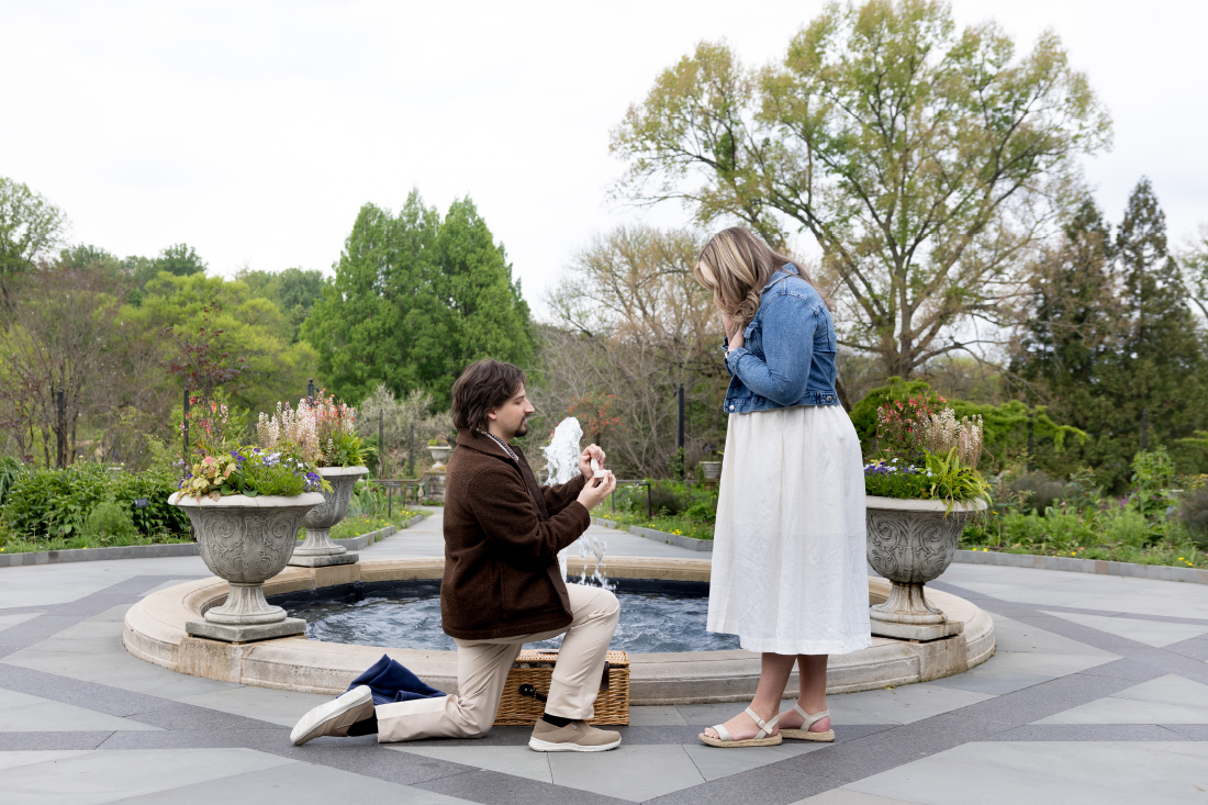 Morris Arboretum Proposal